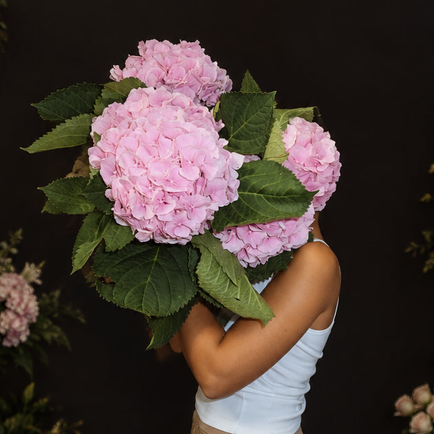 Hydrangea love