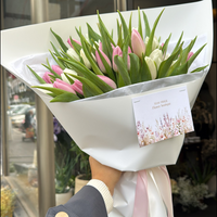 Tulip