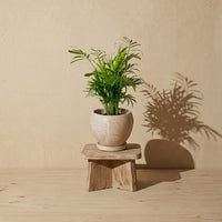 PALM