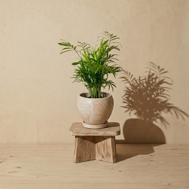 PALM